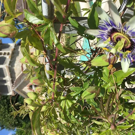 Gites Louis De Vauclerc Craonnelle