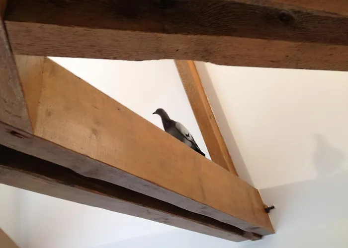 Maison d'hôtes Gîtes Louis De Vauclerc Craonnelle