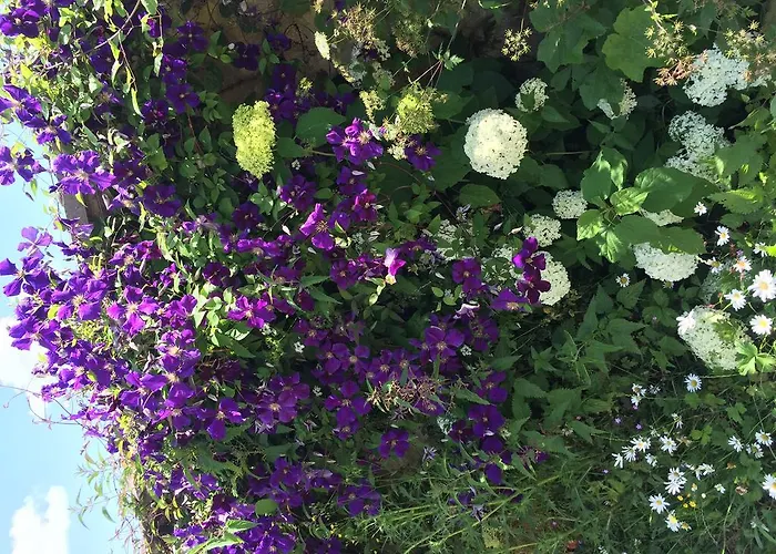 Gîtes Louis De Vauclerc