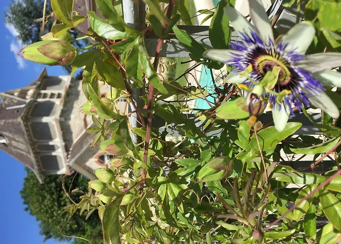 Gîtes Louis De Vauclerc Craonnelle