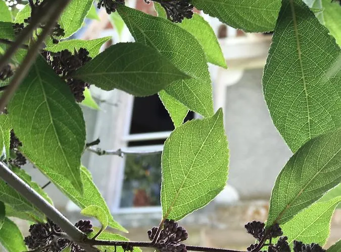 Gîtes Louis De Vauclerc 4*