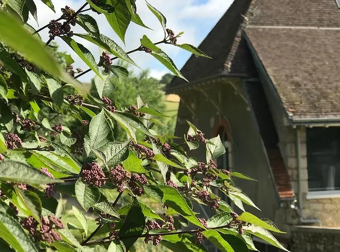 Gîtes Louis De Vauclerc Maison d'hôtes 4*