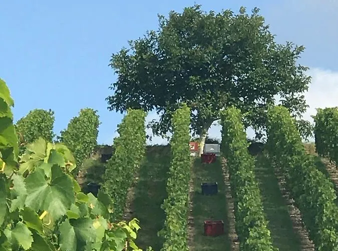 Gîtes Louis De Vauclerc 4*