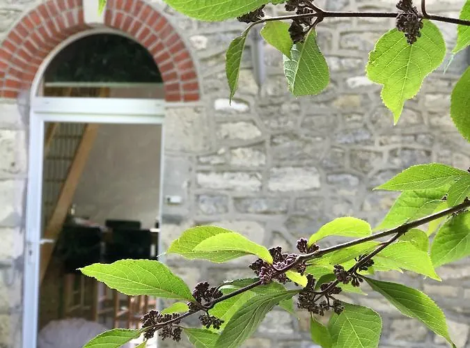 Gîtes Louis De Vauclerc