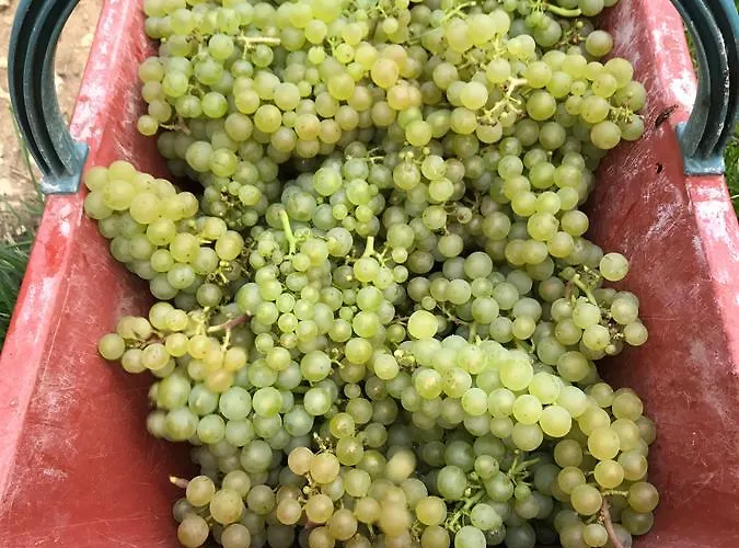 Gîtes Louis De Vauclerc