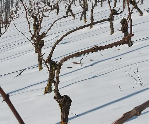 Maison d'hôtes Gîtes Louis De Vauclerc