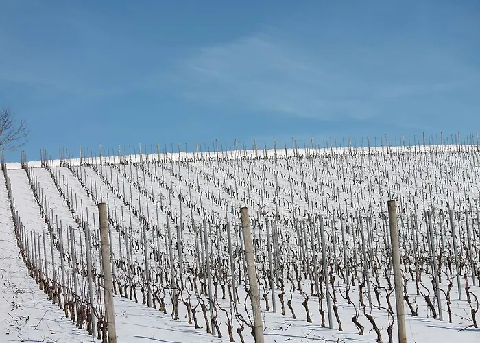 Maison d'hôtes Gîtes Louis De Vauclerc Craonnelle