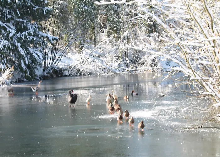 Gîtes Louis De Vauclerc