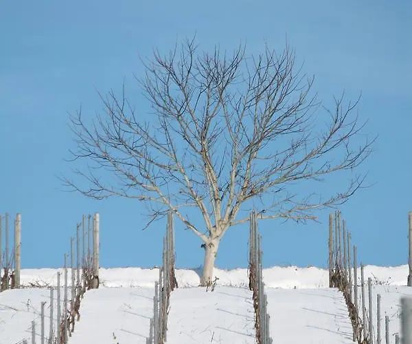 Gîtes Louis De Vauclerc 4* Craonnelle